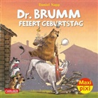 Daniel Napp, Daniel Napp - Maxi Pixi 373: Dr. Brumm feiert Geburtstag