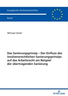 Michael Zeitel - Das Sanierungsprinzip - Der Einfluss des insolvenzrechtlichen Sanierungsprinzips auf das Arbeitsrecht am Beispiel der übertragenden Sanierung