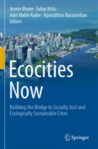Adel Abdel-Kader, Adel Abdel-Kader et al, Saha Attia, Sahar Attia, Jennie Moore, Aparajithan Narasimhan - Ecocities Now