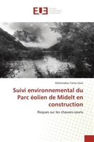 Mahamadou Tairou Kane - Suivi environnemental du Parc éolien de Midelt en construction
