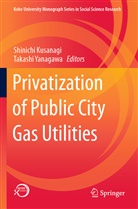Shinich Kusanagi, Shinichi Kusanagi, Yanagawa, Yanagawa, Takashi Yanagawa - Privatization of Public City Gas Utilities