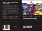 Byron Chulco Lema, Pablo Espinosa Pico - Politiques d'action positive et principes constitutionnels