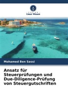 Mohamed Ben Sassi - Ansatz für Steuerprüfungen und Due-Diligence-Prüfung von Steuergutschriften