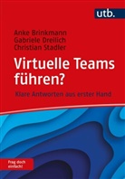 Anke Brinkmann, Gabriele Dreilich, Ch Stadler, Christ Stadler, Christian Stadler - Virtuelle Teams führen? Frag doch einfach!