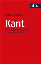 Gottfried Gabriel - Kant