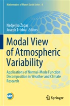 Nedjeljka ¿Agar, Nedjeljka agar, Tribbia, Tribbia, Joseph Tribbia, Nedjeljk Zagar... - Modal View of Atmospheric Variability