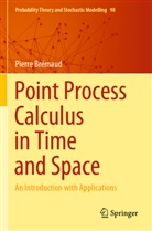 Pierre Brémaud - Point Process Calculus in Time and Space