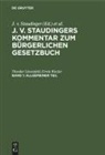Theodor Löwenfeld, Erwin Riezler, Theodor Loewenfeld, Erwin Riezler, J. v. Staudinger - J. v. Staudingers Kommentar zum Bürgerlichen Gesetzbuch - Band 1: Allgemeiner Teil