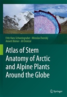 Börner, Annett Börner, Ji¿í Dole¿al, Jirí Dolezal, Mirosla Dvorský, Miroslav Dvorský... - Atlas of Stem Anatomy of Arctic and Alpine Plants Around the Globe