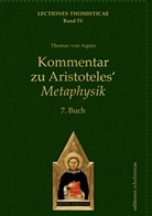 Thomas von Aquin, Thomas von Aquin - Kommentar zu Aristoteles' Metaphysik