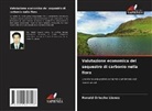 Ronald Ortecho Llanos - Valutazione economica del sequestro di carbonio nella flora