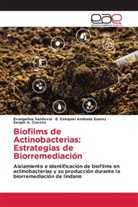 E. Ezequiel Andrada Suarez, Sergio A. Cuozzo, Evangelina Sandoval - Biofilms de Actinobacterias: Estrategias de Biorremediación