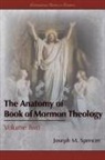 Joseph M. Spencer - The Anatomy of Book of Mormon Theology