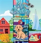 Sensei Paul David - Life of Bailey