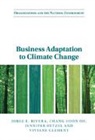Viviane Clement, Jennifer Oetzel, Chang Hoon Oh, Jorge E. Rivera, Jorge E. (George Washington University Rivera, Rivera Jorge E. - Business Adaptation to Climate Change
