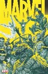 Steve Darnall, Darnall Steve, Frank Espinosa, Marvel Various, Alex Ross, Ross Alex... - MARVEL