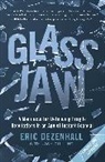 Eric Dezenhall, Eric Dezenhall - Glass Jaw