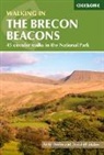 Andrew Davies, Andy Davies, Andy Whittaker Davies, David Whittaker - Walking in the Brecon Beacons