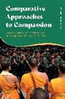 Ramin Jahanbegloo, Jahanbegloo Ramin, Jahanbegloo Ramin Jahanbegloo - Comparative Approaches to Compassion