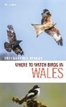 Saunders David Saunders, Jon Green, Green Jon, Green Jon Green, David Saunders, Saunders David - Where to Watch Birds in Wales