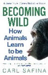 Carl Safina - Becoming Wild