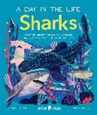 Jackson, Carlee Jackson, JACKSON CARLEE, Neon Squid, Carlee Neon Squid, Prabhat... - Sharks (A Day in the Life)