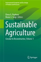 Elen G Popkova, Elena G Popkova, Elena G. Popkova, S Sergi, S Sergi, Bruno S. Sergi - Sustainable Agriculture
