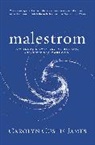 Carolyn Custis James - Malestrom