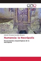 Antonio Fernando González Recuero - Numancia: la Necrópolis