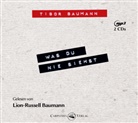 Tibor Baumann, Lion-Russell Baumann - Was du nie siehst, 2 Audio-CD, 2 MP3 (Hörbuch)