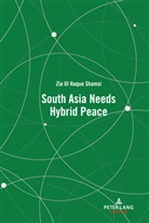 Zia Ul Haque Shamsi - South Asia Needs Hybrid Peace