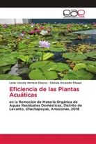 Cástula Alvarado Chuqui, Lesly Llocely Herrera Chavez - Eficiencia de las Plantas Acuáticas