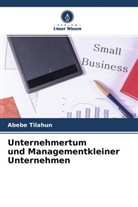 Abebe Tilahun - Unternehmertum und Managementkleiner Unternehmen