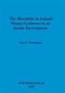 Peter C. Woodman - The Mesolithic in Ireland