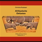 Christian Rupieper - Afrikanische Elefanten