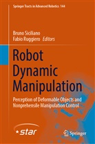 RUGGIERO, Ruggiero, Fabio Ruggiero, Brun Siciliano, Bruno Siciliano - Robot Dynamic Manipulation
