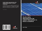 Issa Faye - Studio della degradazione dei moduli fotovoltaici in silicio cristallino