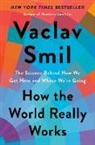 Vaclav Smil - How the World Really Works
