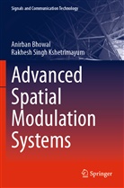 Anirba Bhowal, Anirban Bhowal, Rakhesh Singh Kshetrimayum - Advanced Spatial Modulation Systems