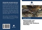 Sergey Goryainov - Metamorphe und metasomatische Komplexe des mittleren Pobuzhye