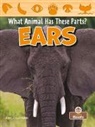 Amy Culliford - Ears