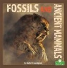 Julie K Lundgren, Julie K. Lundgren - Fossils and Ancient Mammals