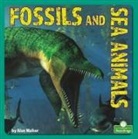 Alan Walker - Fossils and Sea Animals
