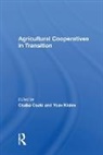 CSAKI, Csaba Csaki, Csaba Kislev Csaki, Csaki Csaba, Yoav Kislev, Kislev Yoav... - Agricultural Cooperatives in Transition