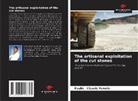 Paulin - Clauvis Yemele - The artisanal exploitation of the cut stones