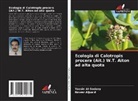 Nawar Aljuaid, Yassin Al-Sodany - Ecologia di Calotropis procera (Ait.) W.T. Aiton ad alta quota