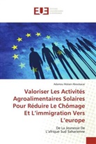Adamou Malam Aboubacar - Valoriser Les Activités Agroalimentaires Solaires Pour Réduire Le Chômage Et L'immigration Vers L'europe