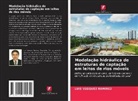 Luis Vásquez Ramírez - Modelação hidráulica de estruturas de captação em leitos de rios móveis