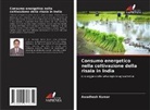 Awadhesh Kumar - Consumo energetico nella coltivazione della risaia in India