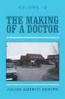 Julius Adebiyi Sodipo - The Making of a Doctor